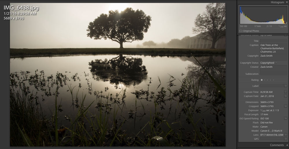  Chalmette Battlefiled Foggy Morning, January 21, 2016  ©Zack Smith Photography  