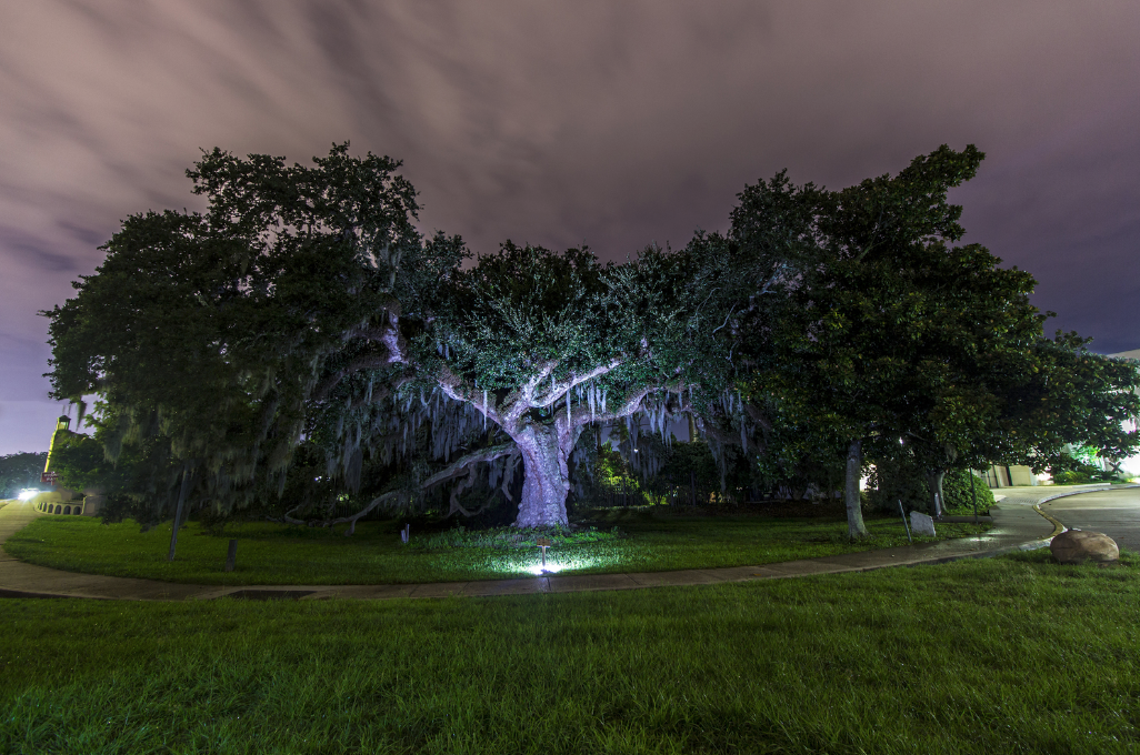 Photo by Bryce El - NOLA @ Night participant
